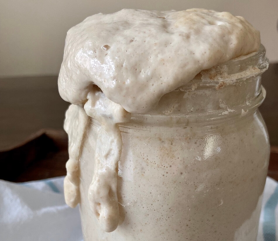 close up image of sourdough starter bubbling over top a glass jar