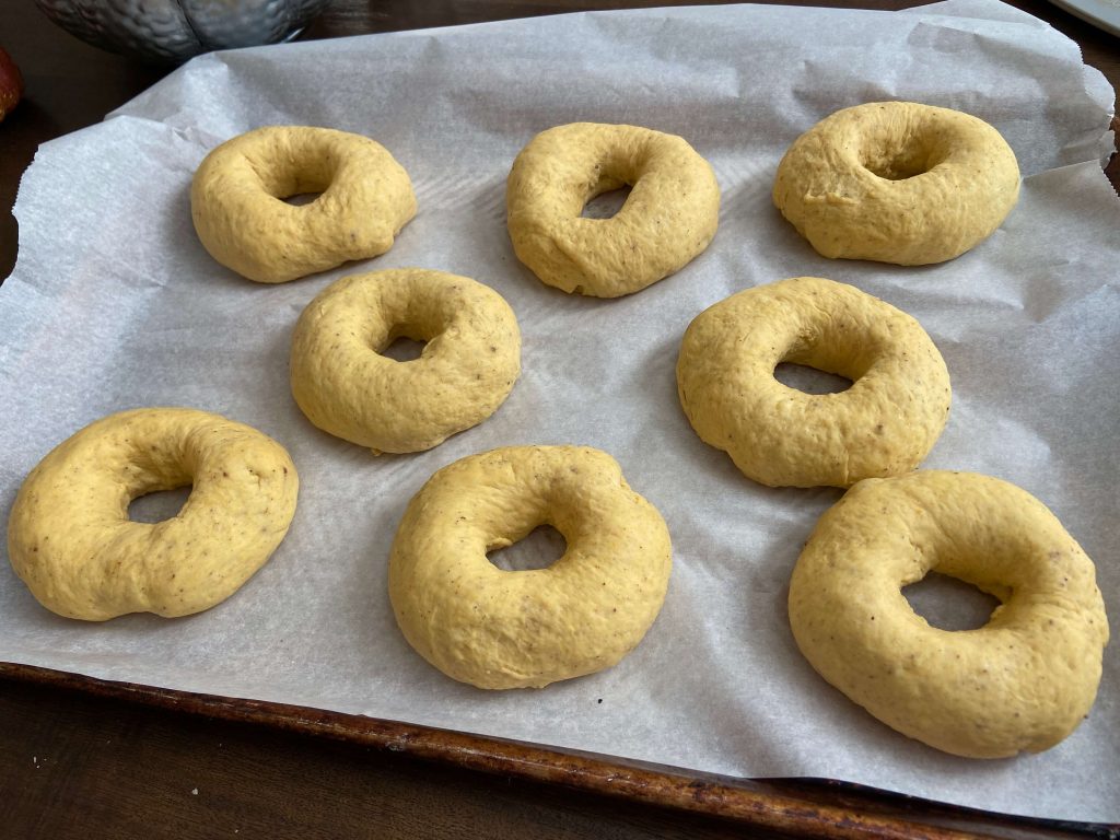 sourdough bagel dough with holes added resting on parchment paper lined cookie sheet