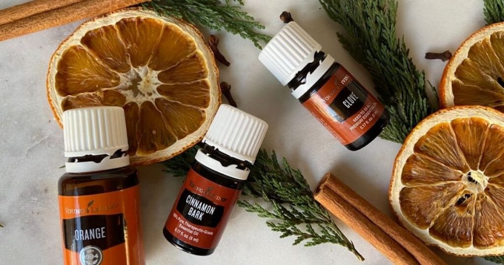 image of orange, cinnamon bark and clove young living essential oil bottles on marble countertop with cinnamon sticks dried oranges and cedar leaves in background