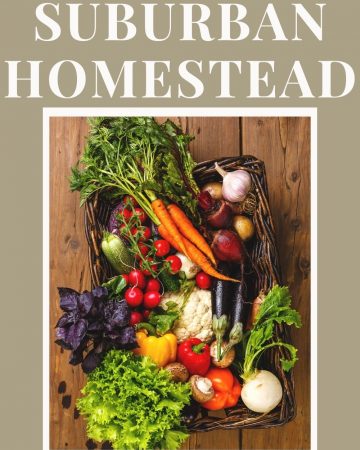 A suburban homestead might seem like a bit of an anomaly, but it is actually quite possible to start simple practices that will help you live a more holistic, natural and self-sufficient life wherever your home is - even in the suburbs!