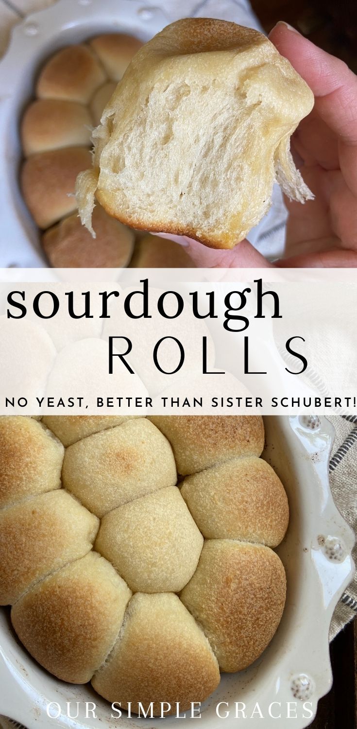 The Best Sourdough Rolls no yeast Recipe