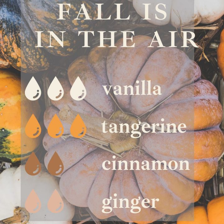 M﻿ake your home smell like fall with these cozy and warm essential oil diffuser blends! Enjoy all of your favorite scents without the toxins from scented candles.