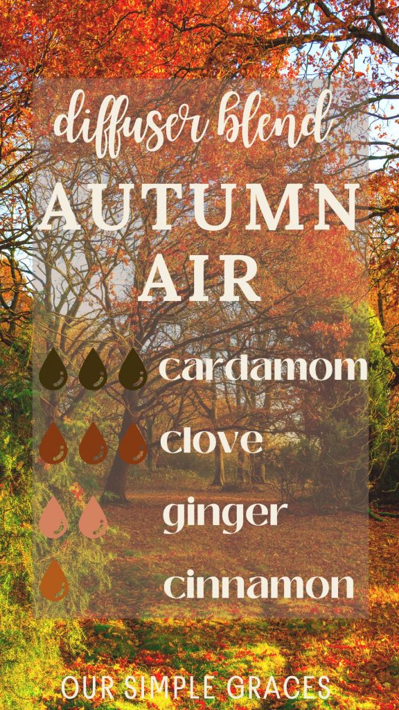 autumn air fall diffuser blends cardamom, clove, ginger, cinnamon essential oil