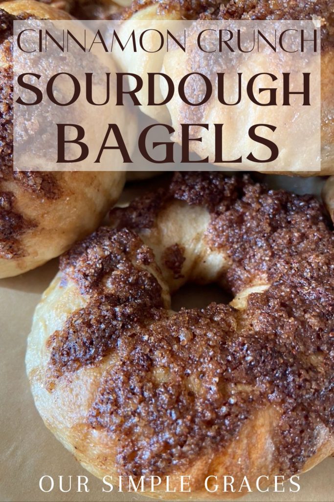 This cinnamon crunch sourdough bagels recipe is just what you need when you are wanting to make something just a little bit more special and festive for breakfast or brunch! You and your friends or family are in for a treat with these sweet sourdough bagels!