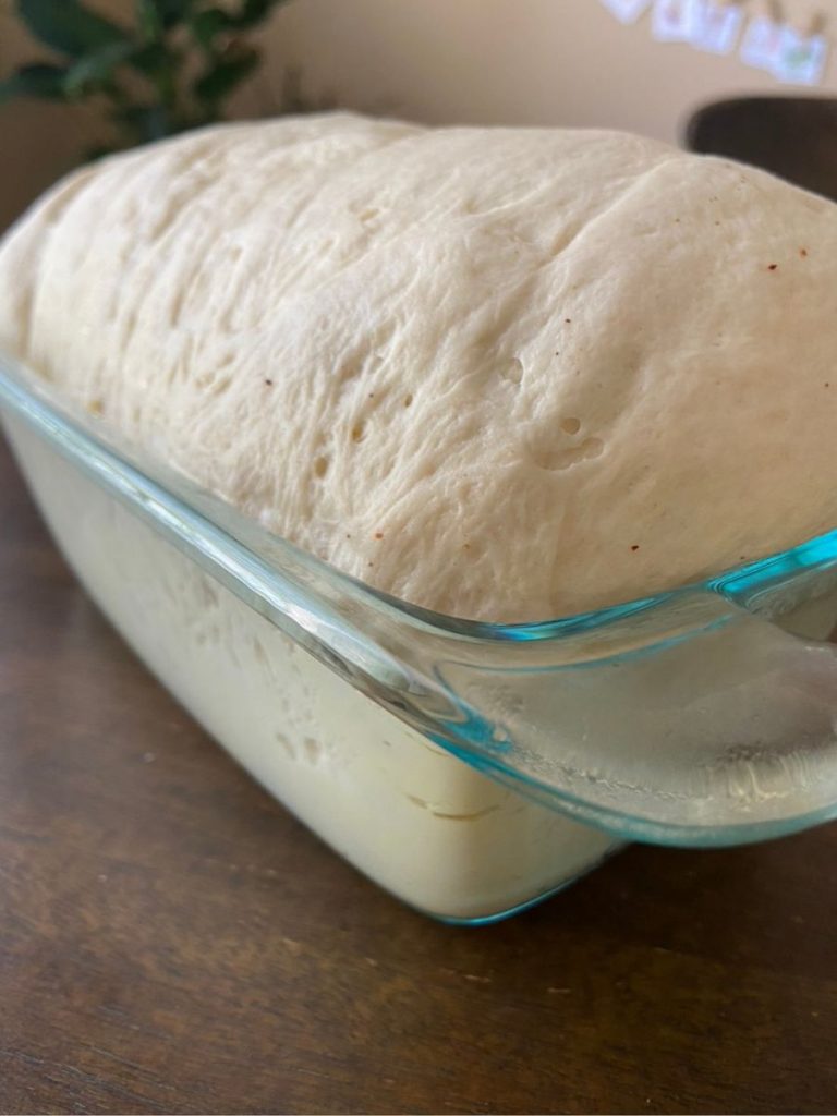 sourdough bread dough risen in loaf pan