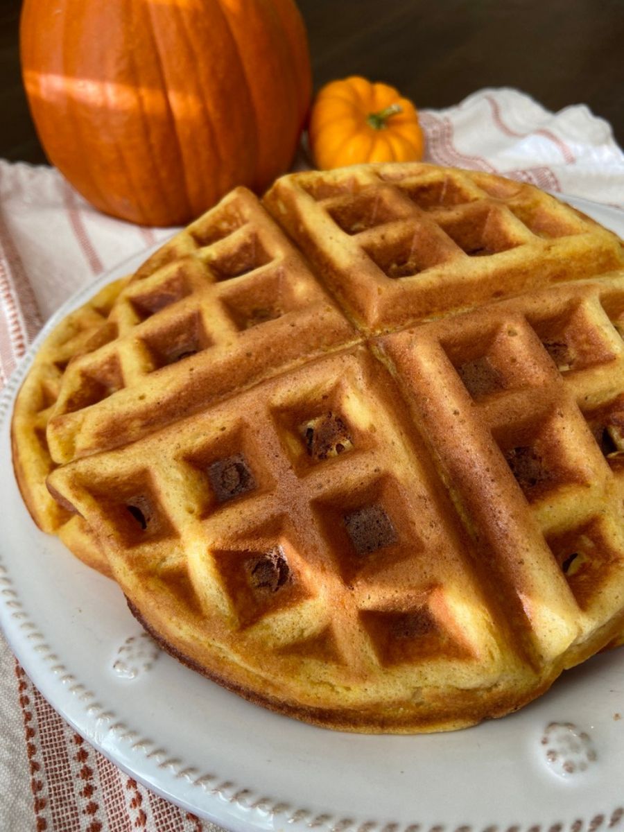 Pumpkin Sourdough Waffles are the perfect cozy breakfast for crisp mornings in the fall and winter months. These are so easy to whip up in the morning or allow it to ferment overnight for delicious crispy waffles. Plus, your kitchen will smell amazing!